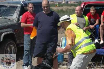 Pulsa para ver la imagen a tamaño completo